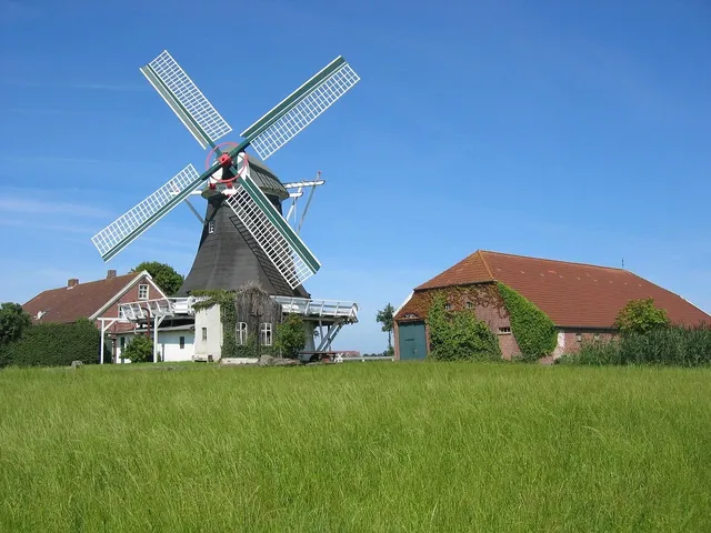 Windmill tee