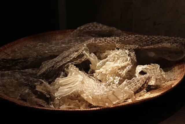 Snakeskin wrislet